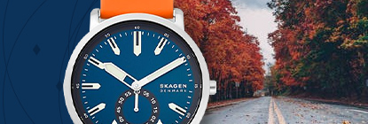 Skagen Watches