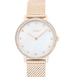 White sales coach watch