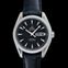 Omega Seamaster 231.13.43.22.06.001