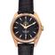 Omega Seamaster 231.53.39.21.06.003