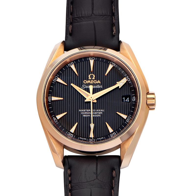 Omega Seamaster 231.53.39.21.06.003